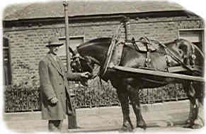 J Fitzsimons Horse Wagon